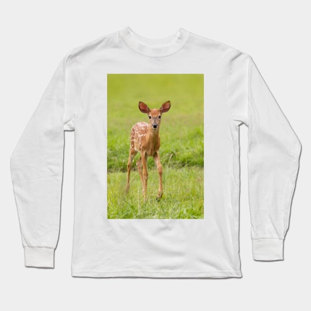 Fawn Memories - White-tailed deer Long Sleeve T-Shirt by Jim Cumming